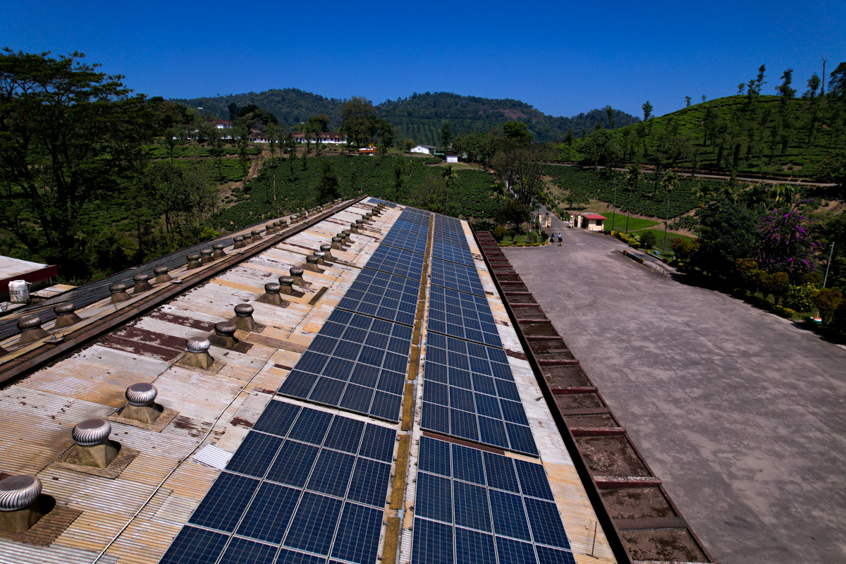 Tea Plantation Processing Site in Tamil Nadu, India gallery 2