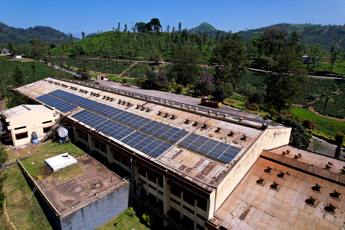 Tea Plantation Processing Site in Tamil Nadu, India gallery 1